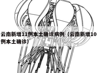 云南新增11例本土确诊病例（云南新增10例本土确诊）