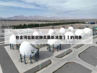 包含河北新冠肺炎最新消息㊙️的词条